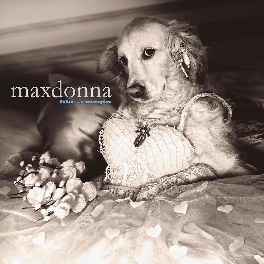 Maxdonna