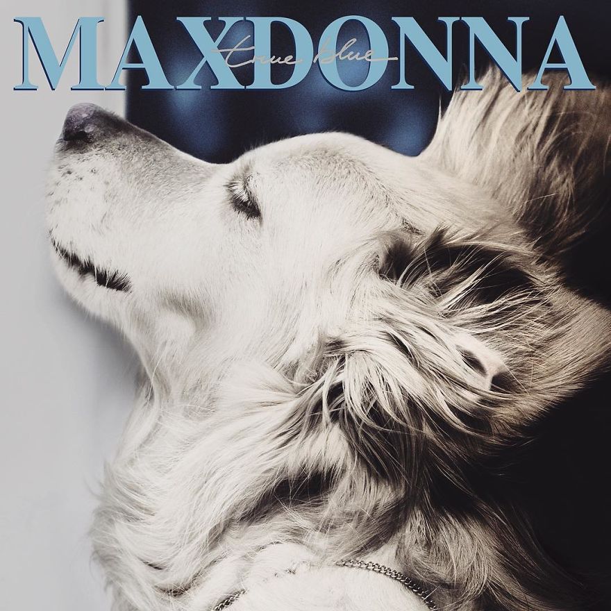 Maxdonna