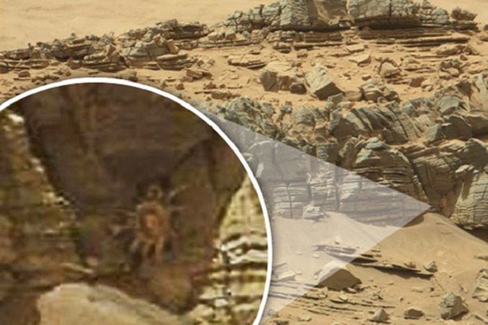 Makhluk seperti kepiting yang terlihat di Mars