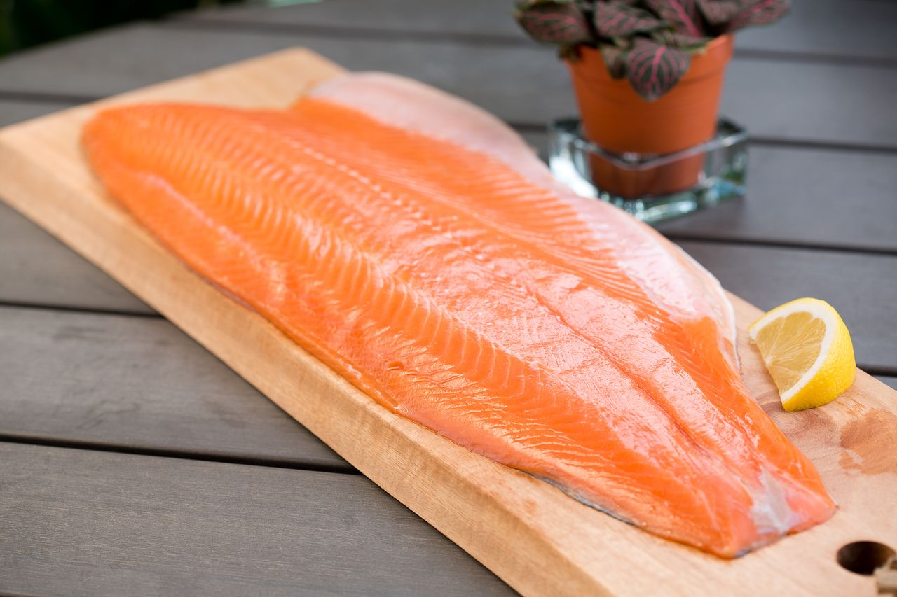 Salmon Segar