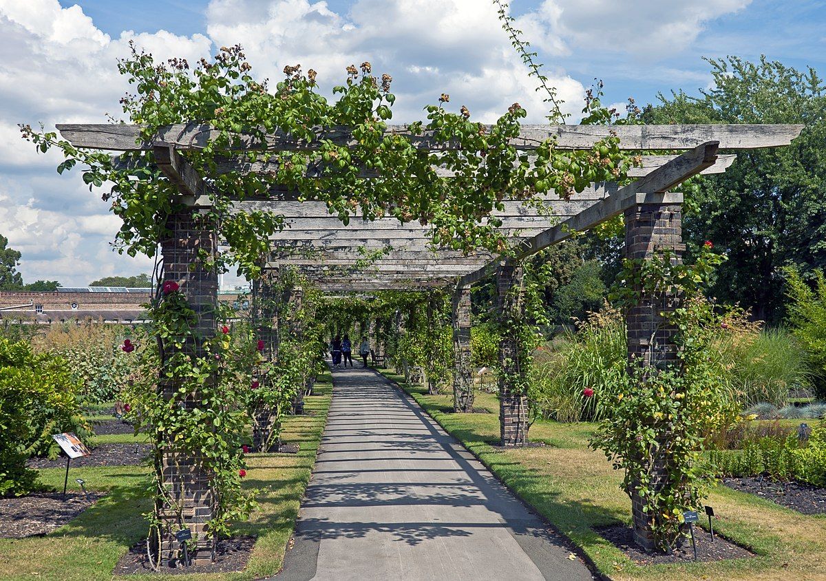 pergola