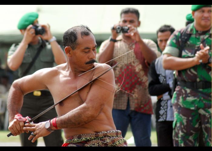 Peragaan ilmu kebal pasukan TNI