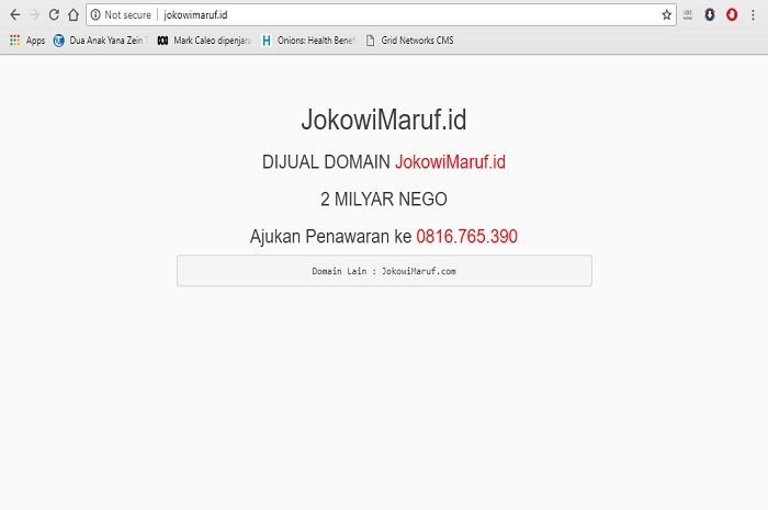 domain Jokowi-Maaruf