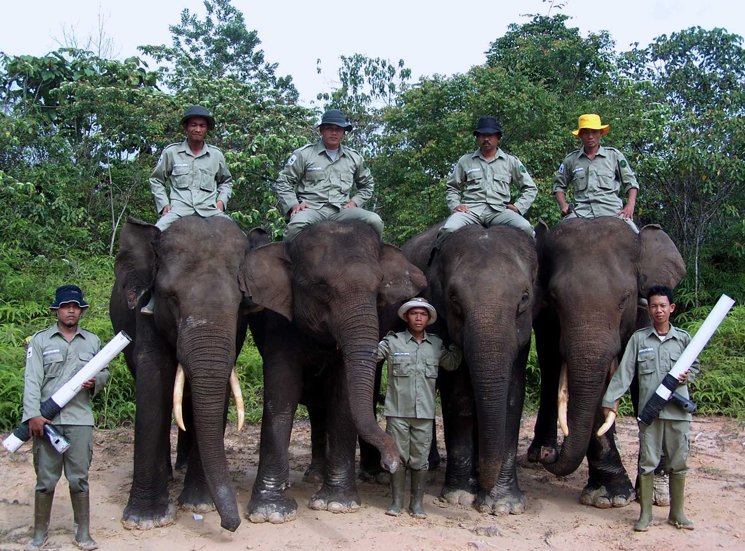 Elephant Flying Squad atau Tim Patroli Gajah di Taman Nasional 