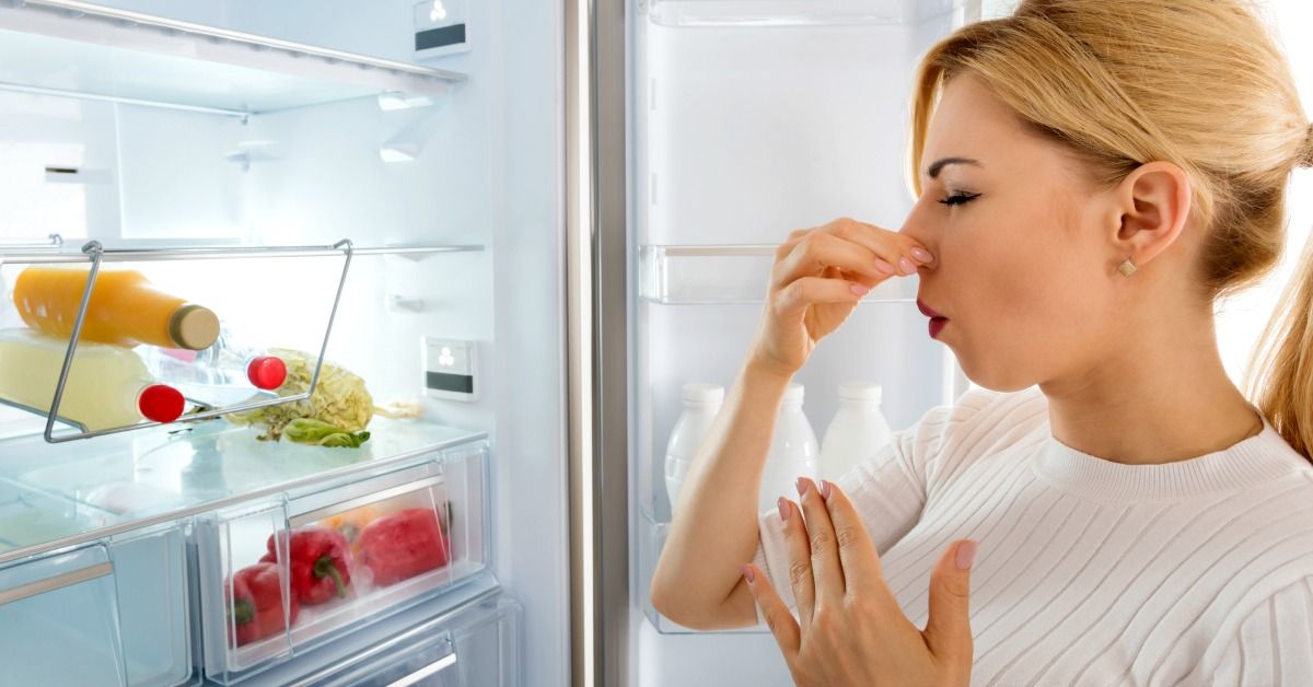 bau pada kulkas bisa disebabkan atas kontaminasi dari makanan yang disimpan dan telah rusak atau kulkas kotor sehingga sirkulasi udara terhambat. 