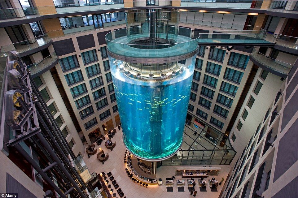 AquaDom Elevator