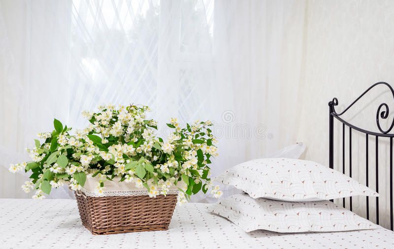 Bunga Melati menjadi bunga yang bisa meningkatkan kualitas tidur