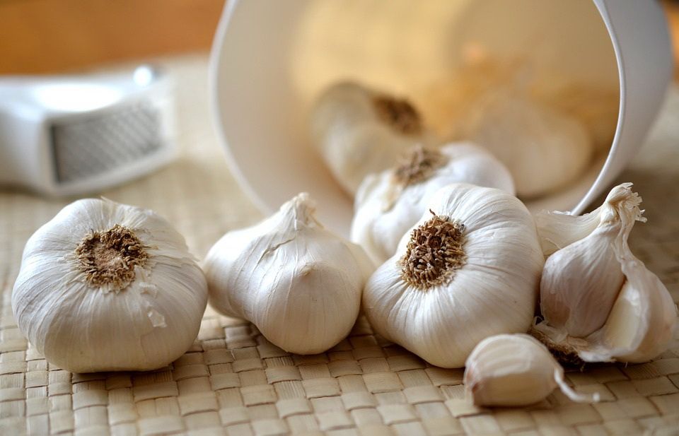 Campur Bawang Putih Ke Dalam Makanan Bayi Manfaatnya Menakjubkan Semua Halaman Nakita