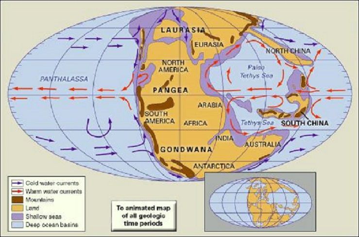 Berikut ini adalah benua yang dahulunya termasuk ke dalam benua gondwana adalah
