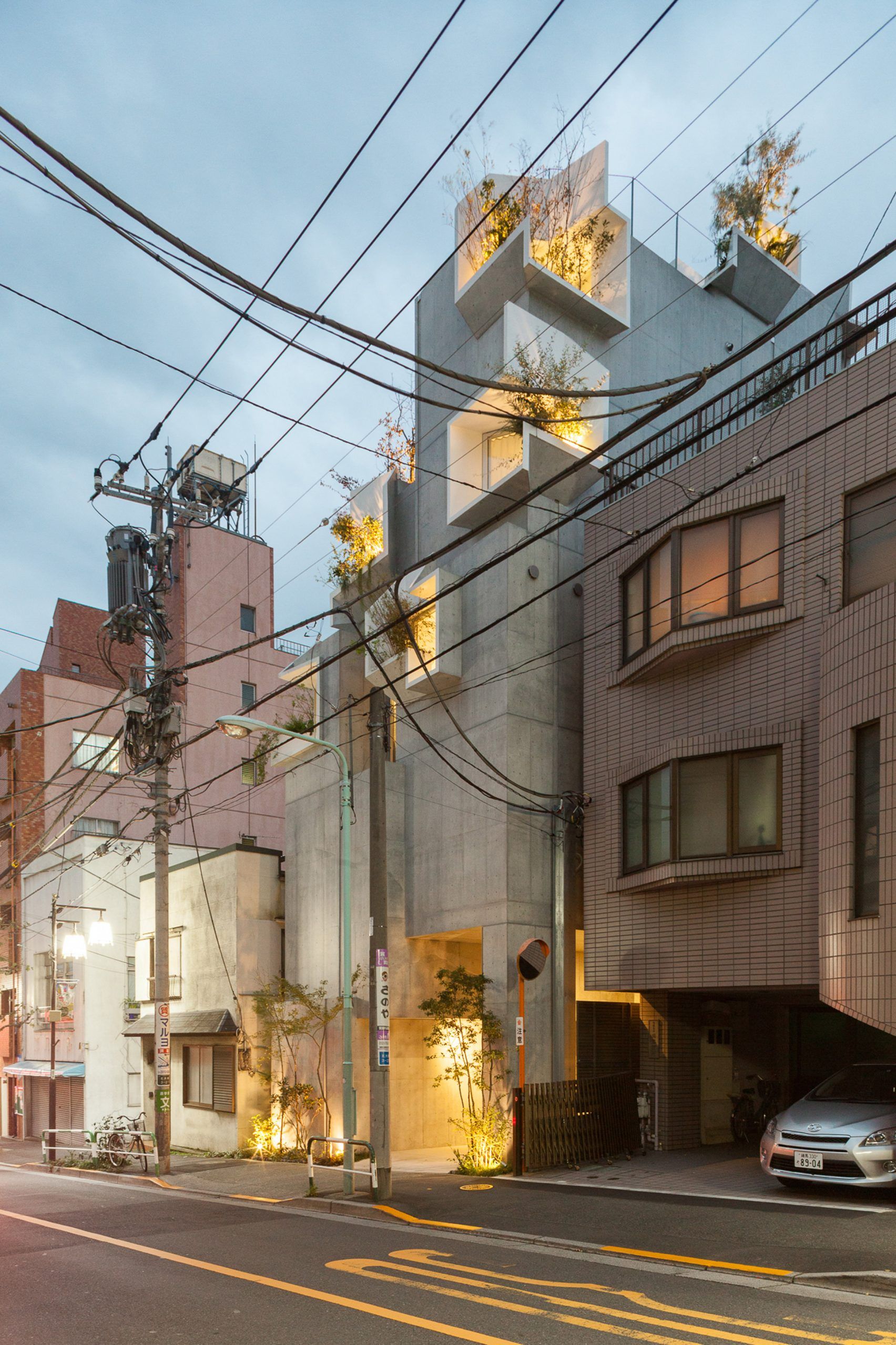 Arsitek Jepang Buat Tree-ness, Rumah yang Terinspirasi dari Pohon