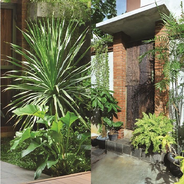 Inpirasi Desain Taman Bali Rumah di Tengah Kota,Simpel dan Eksotis! - Semua  Halaman - iDEA