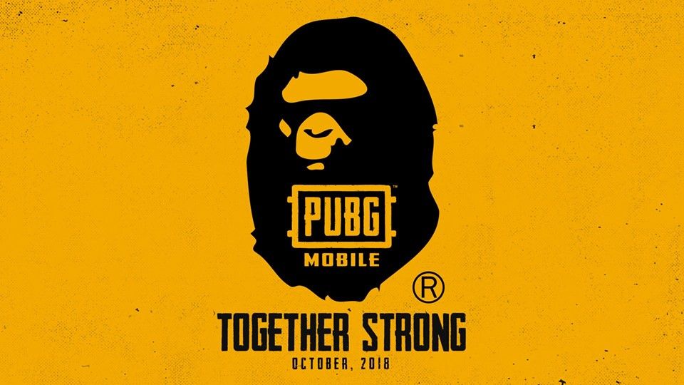 PUBG x BAPE