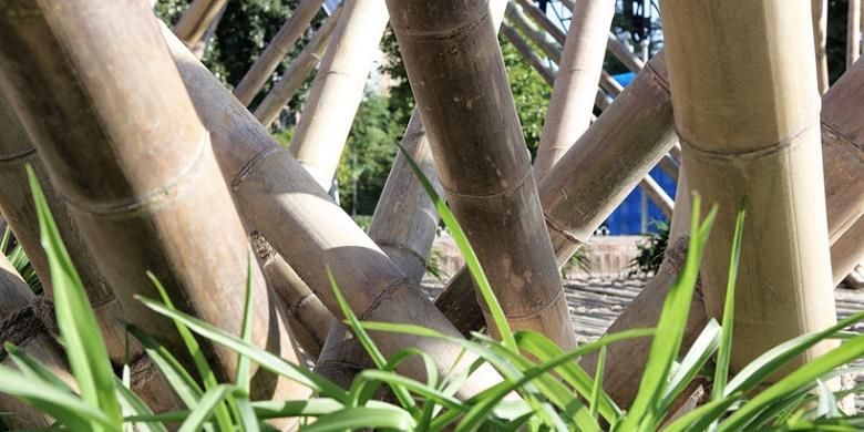 Para arsiteknya memilih bambu sebagai bahan konstruksi utama, karena memiliki akar panjang tradisional di Tiongkok. Bambu juga merupakan bahan bangunan yang fantastis dan keberadaannya sering diremehkan dalam proses konstruksi arsitektur.