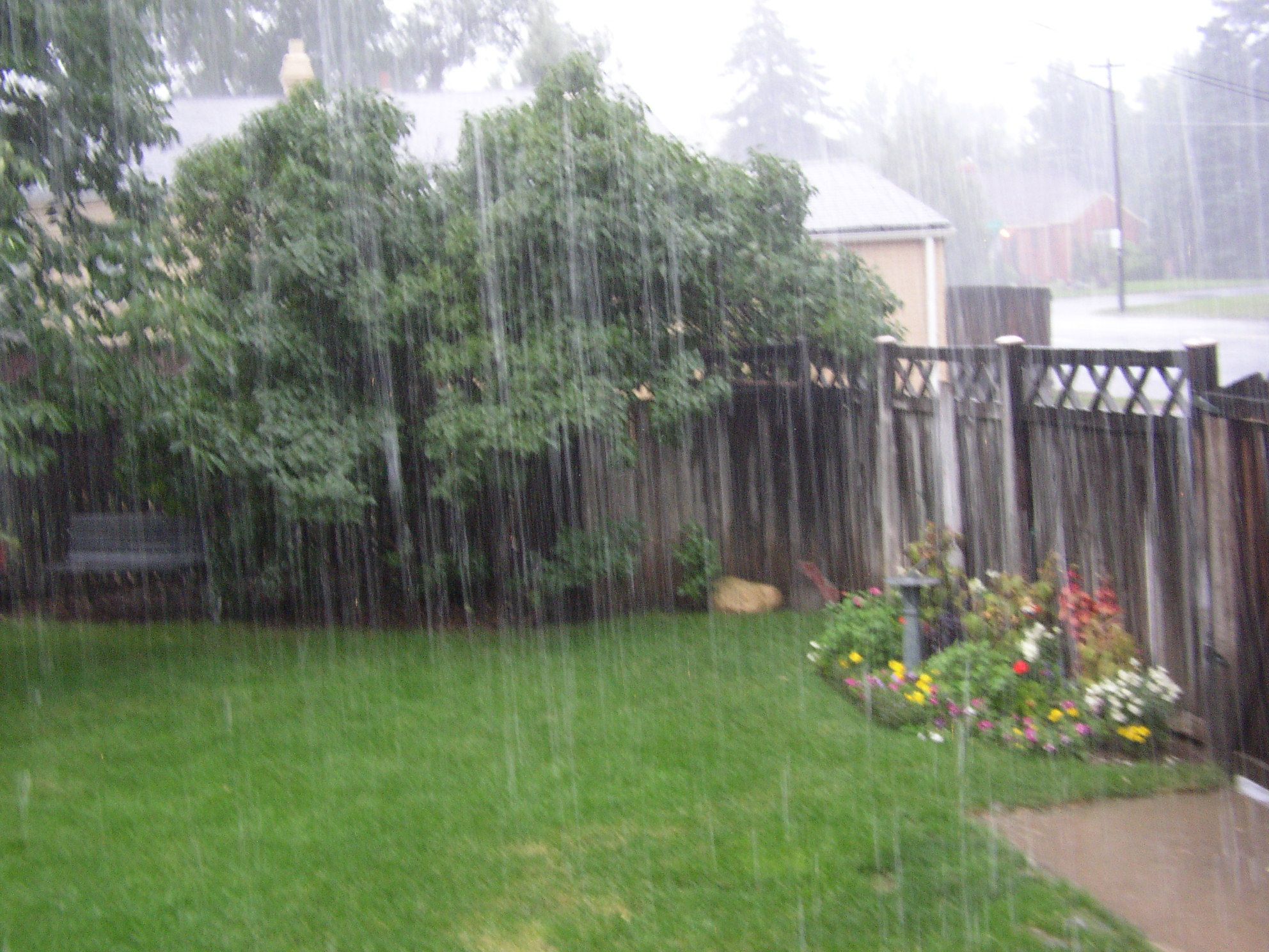 Musim Hujan, Yuk Manfaatkan Air Hujan dengan Cara Memanennya!