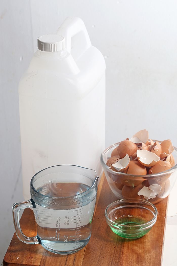 Tak Punya Sikat Untuk Membersihkan Bagian Dalam Botol Atau Jerigen Pakai Cangkang Telur Saja Semua Halaman Sajian Sedap Tak Punya Sikat Untuk Membersihkan Bagian Dalam Botol Atau Jerigen Pakai Cangkang Telur Saja Semua Halaman Sajian Sedap