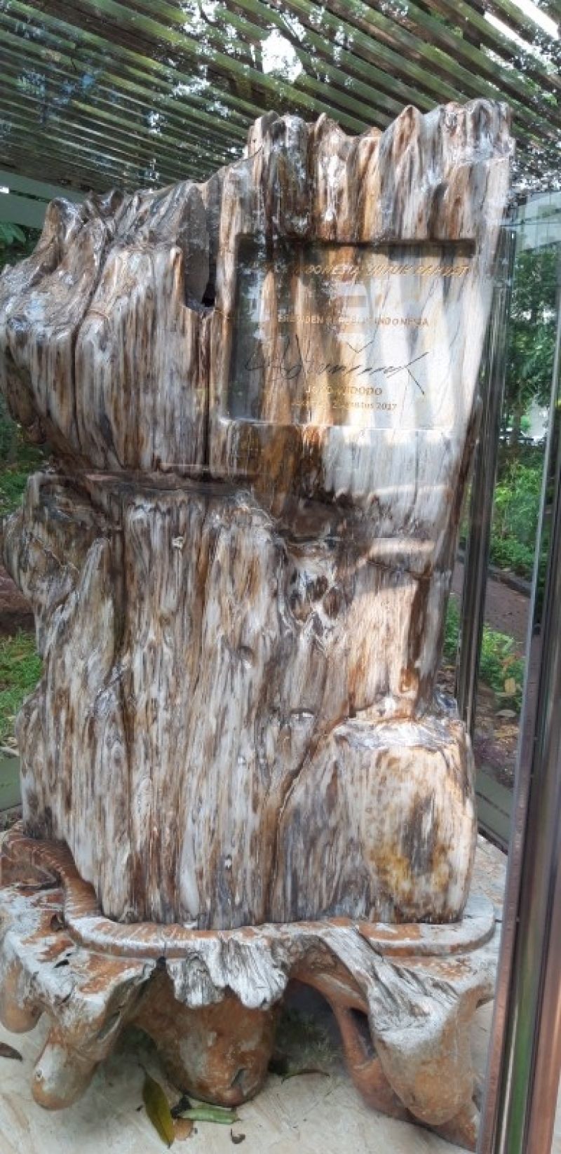 Fosil kayu di area Arboretum
