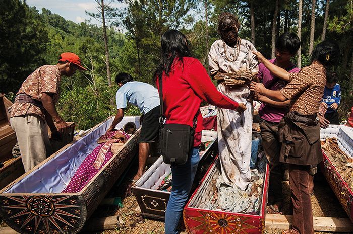 Suku toraja merupakan suku yang berada di