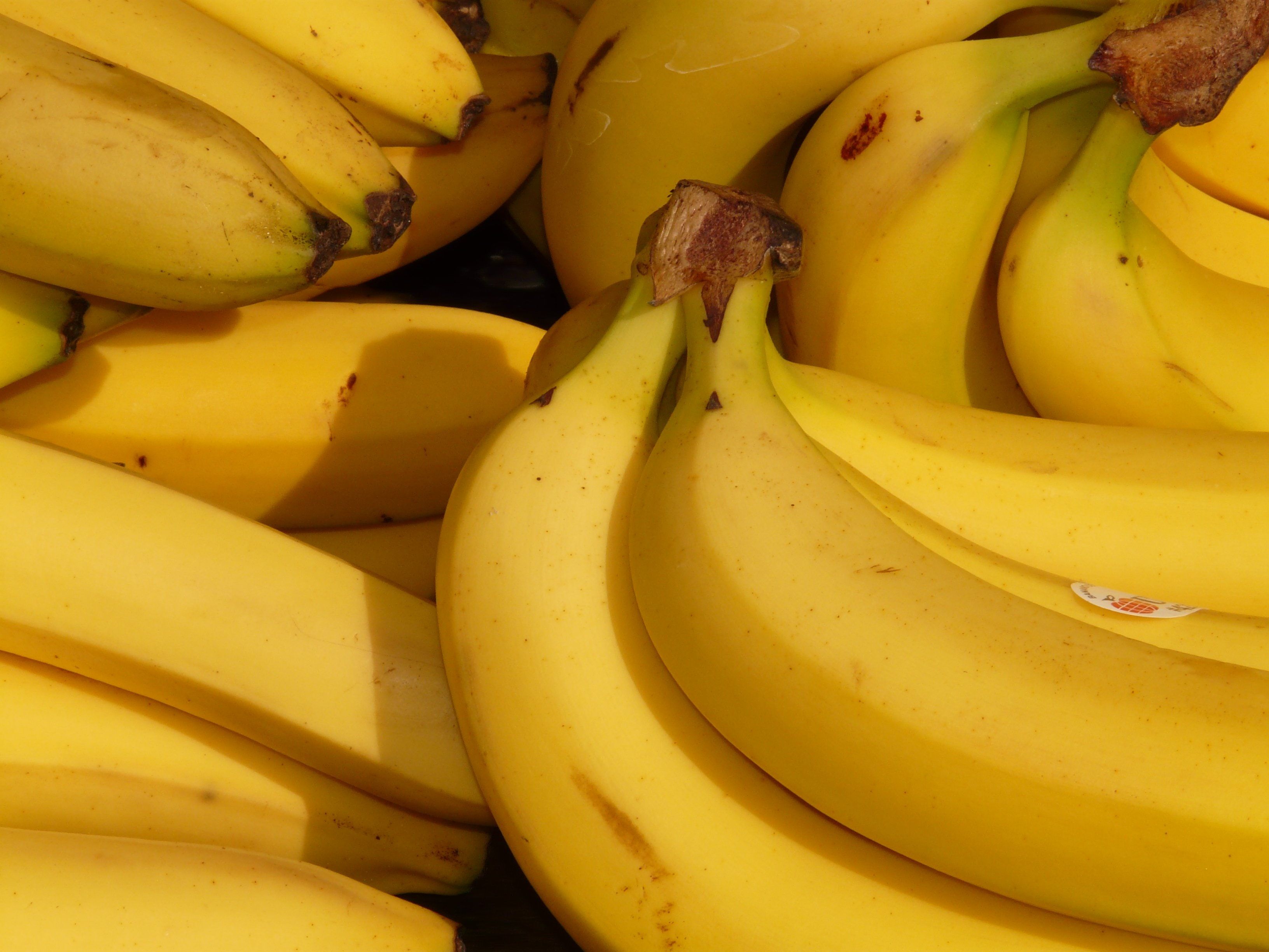 Pisang/ Waspada Salah Simpan, Terungkap Tak Semua Buah Baik Diletakan di Kulkas!