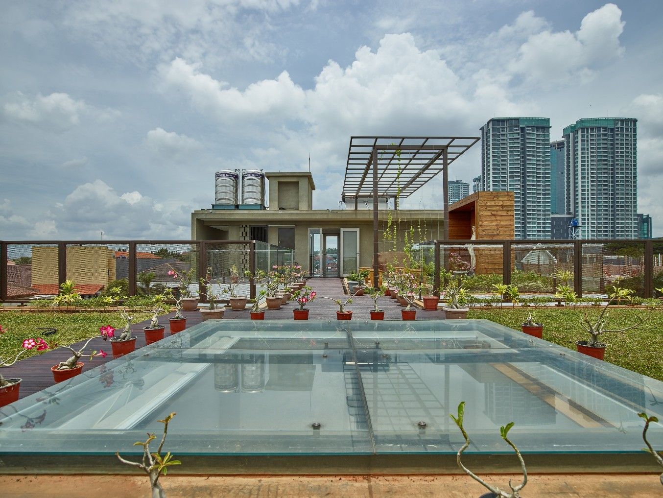 Rooftop garden 