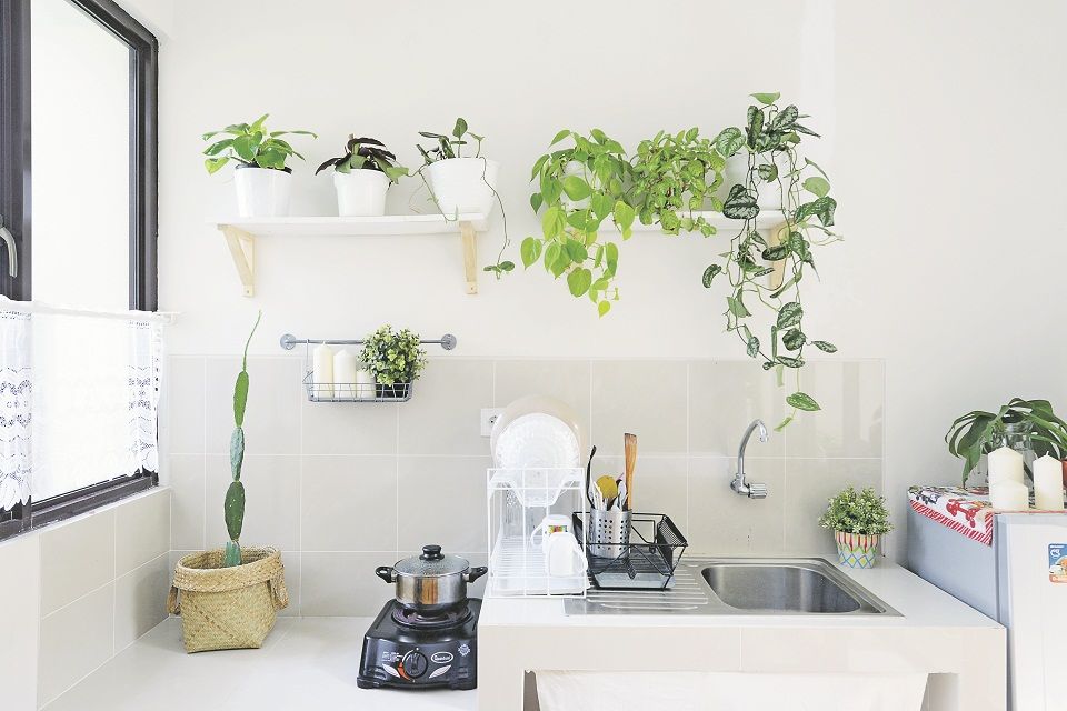 Menghias dapur dengan tanaman