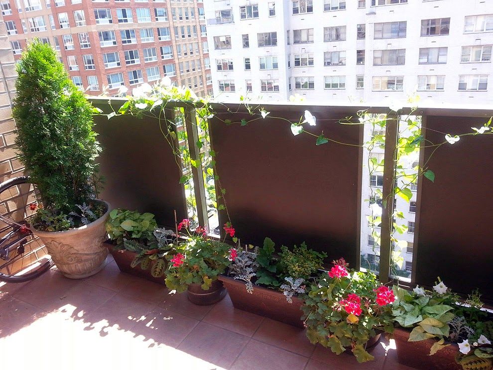 5 hal yang harus diperhatikan ketika ingin membuat taman mini di balkon