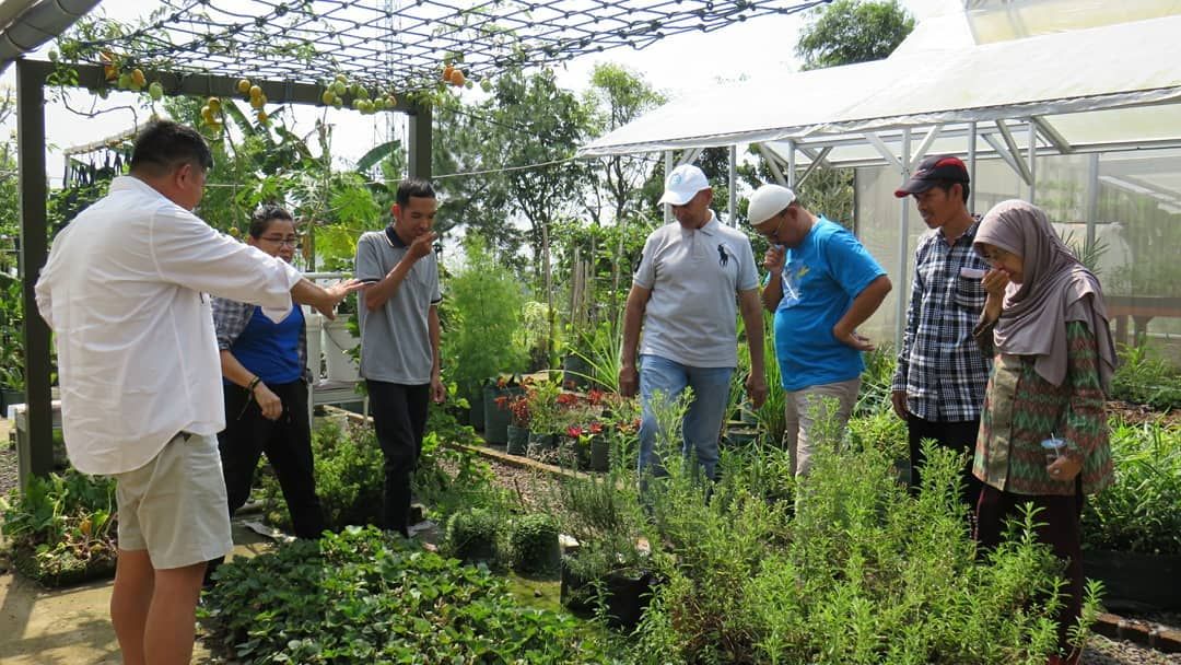 Kebun rumah Mark Sungkar