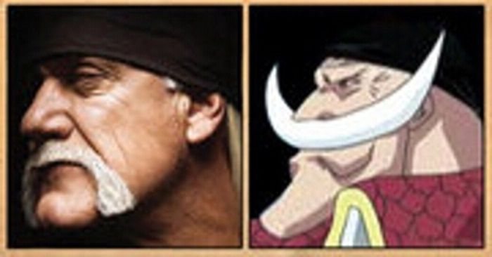 Hulk Hogan - Whitebeard