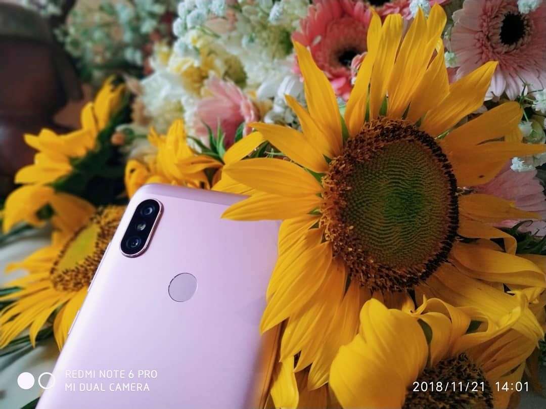 Foto Menggunakan Xioami Redmi Note 6 Pro