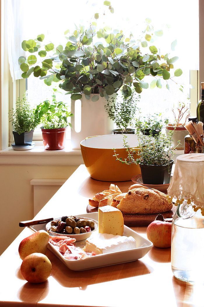 8 Ide Kreatif merawat tanaman herbal di dapur