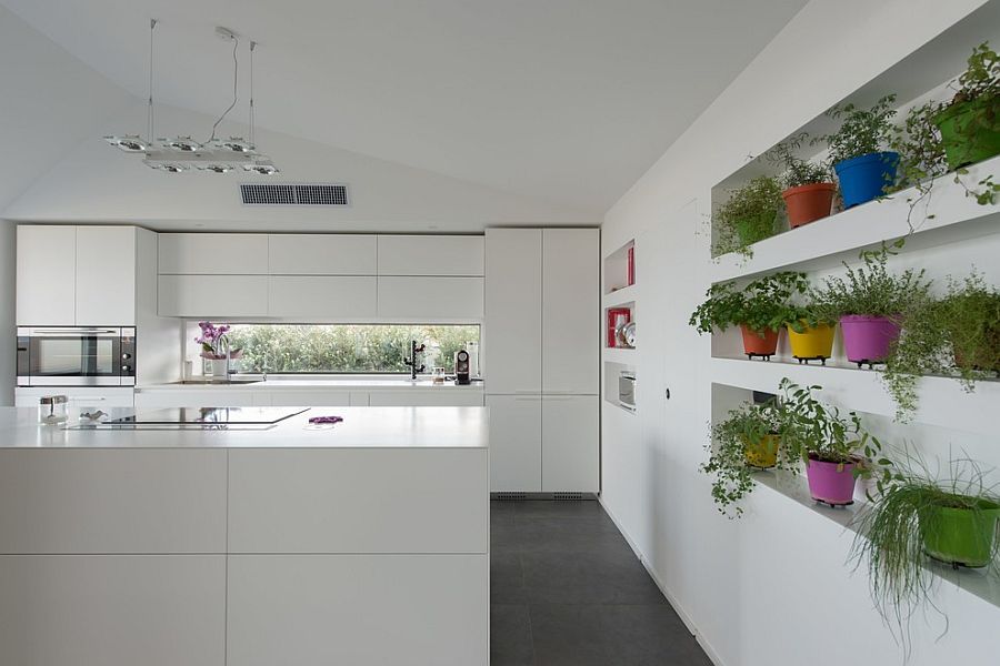 8 Ide Kreatif merawat tanaman herbal di dapur