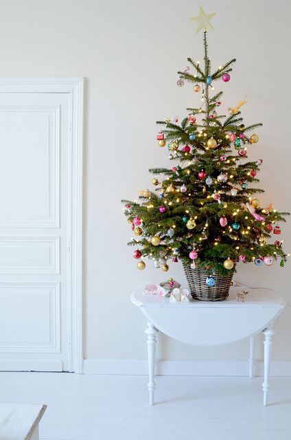 Pohon natal jadi fokus ruangan