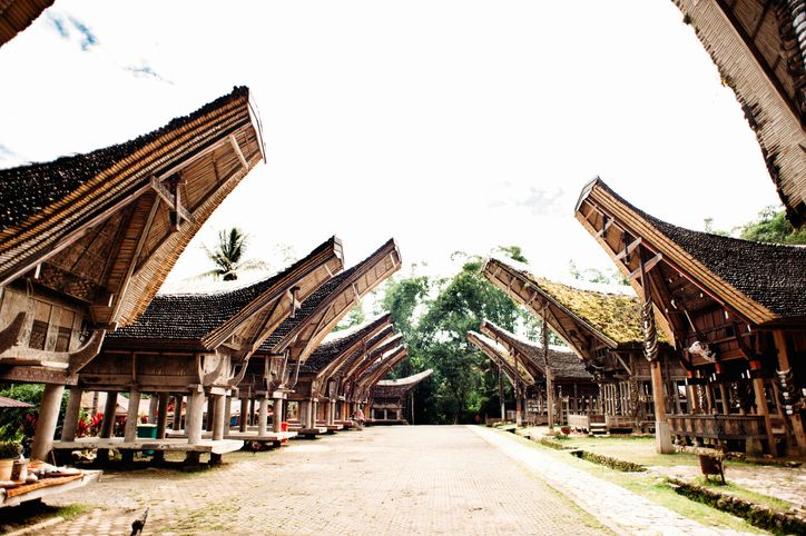 Rumah Tongkonan yang saling berhadapan.