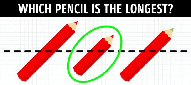Pensil manakah yang paling panjang? 