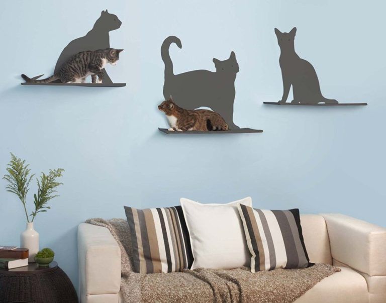 Furnitur modern untuk kucing peliharaanmu di rumah