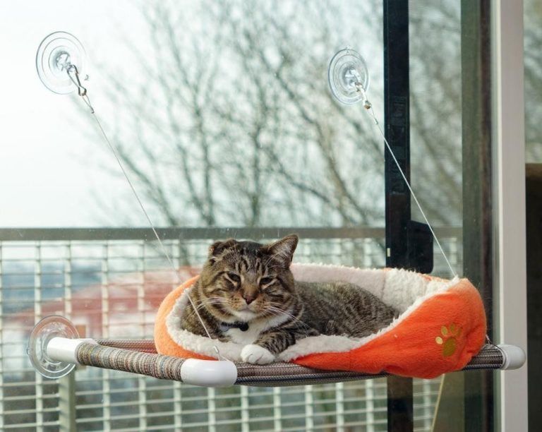 Tempat duduk di ambang jendela untuk para kucing