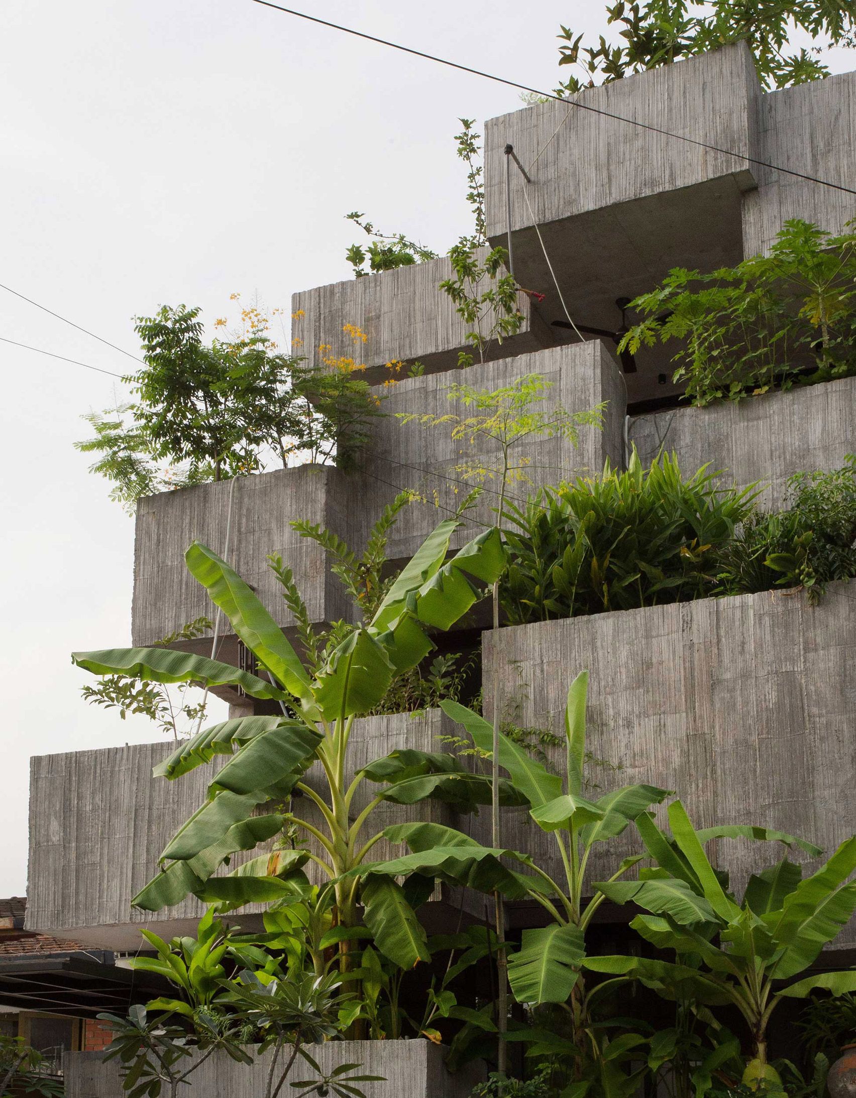 Planter Box House , Rumah Beton Ditutupi Tanaman yang Bisa Dimakan