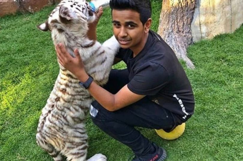 Rashed bermain dengan macan di halam rumahnya