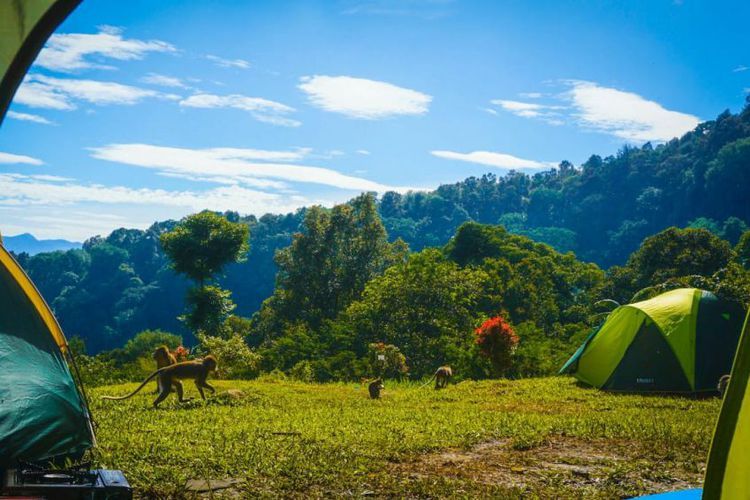 Bumi Perkemahan Sukamantri