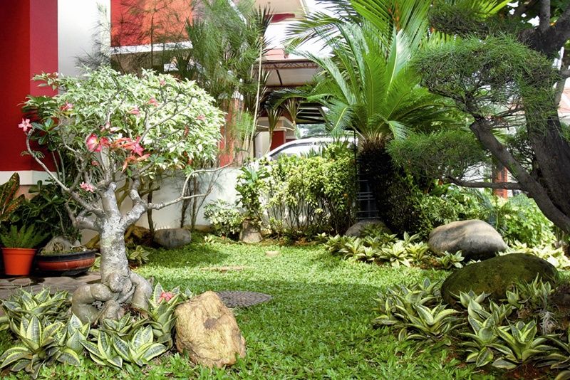 Paduan hardscape dan softscape pada taman yang terlihat cantik.