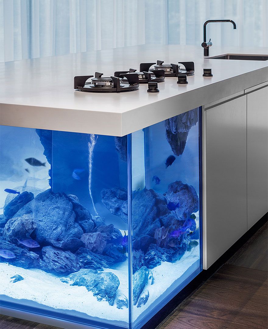 Aquarium besar pada dapur