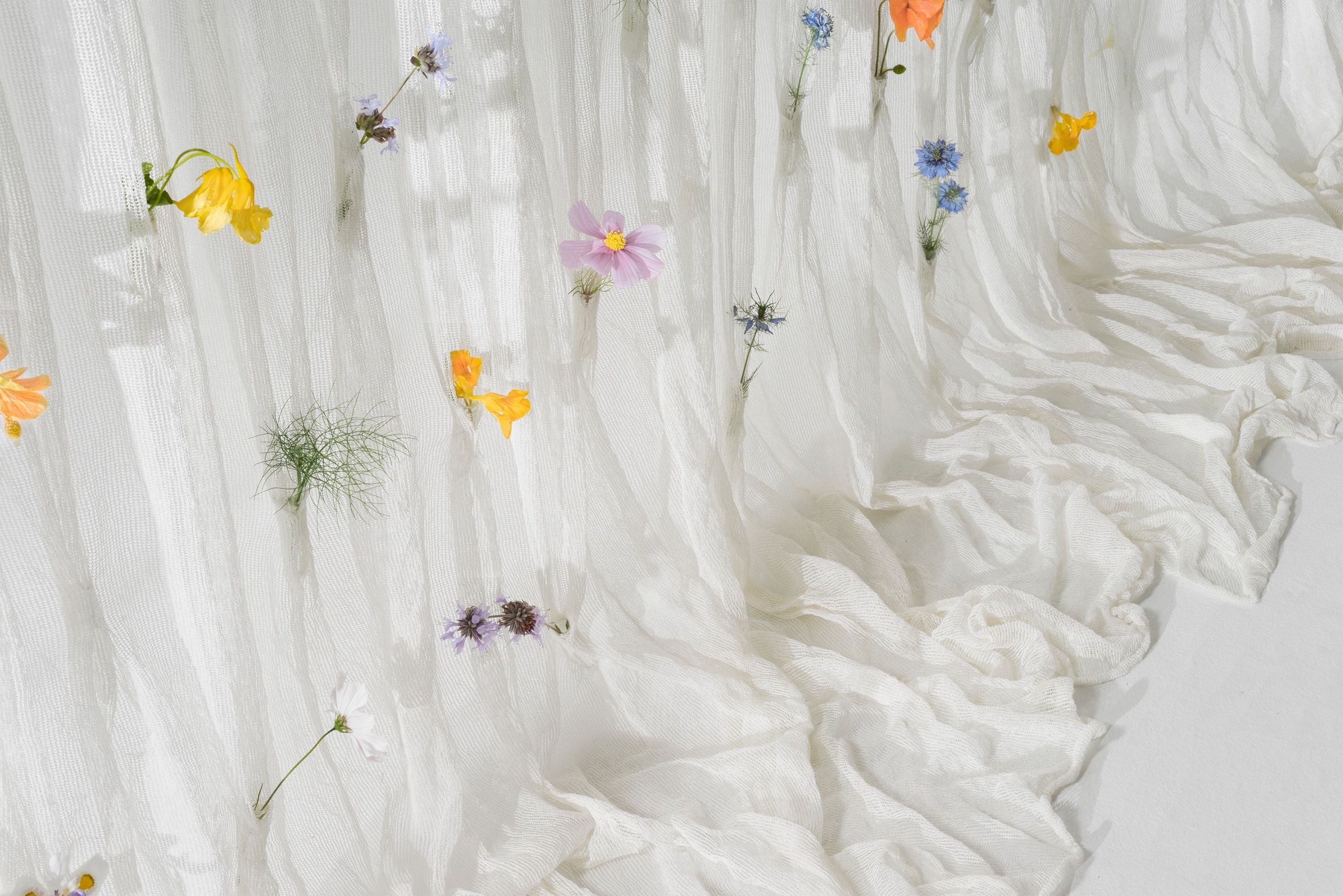 Draped Flowers Curtain