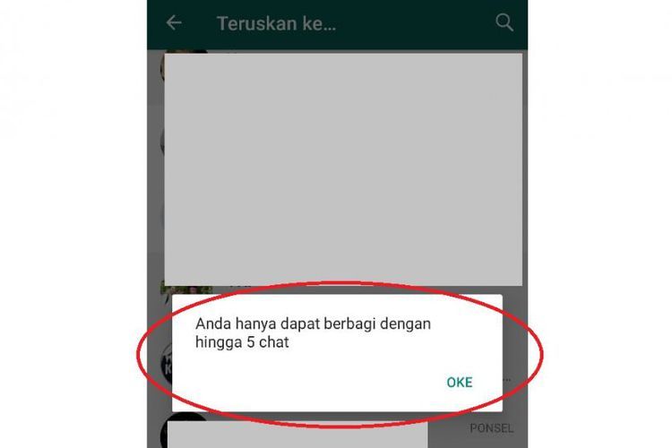 Fitur forward pesan yang dibatasi 5 kontak dalam satu kirim pesan