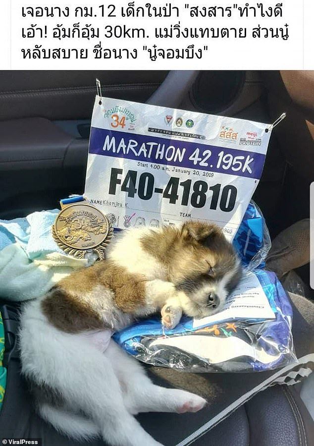 Anak anjing yang ditemukan Khemjira Klongsanun saat lari maraton