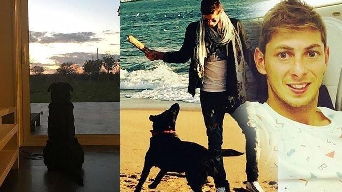 Kedekatan Emiliano Sala dengan sang anjing, Nala