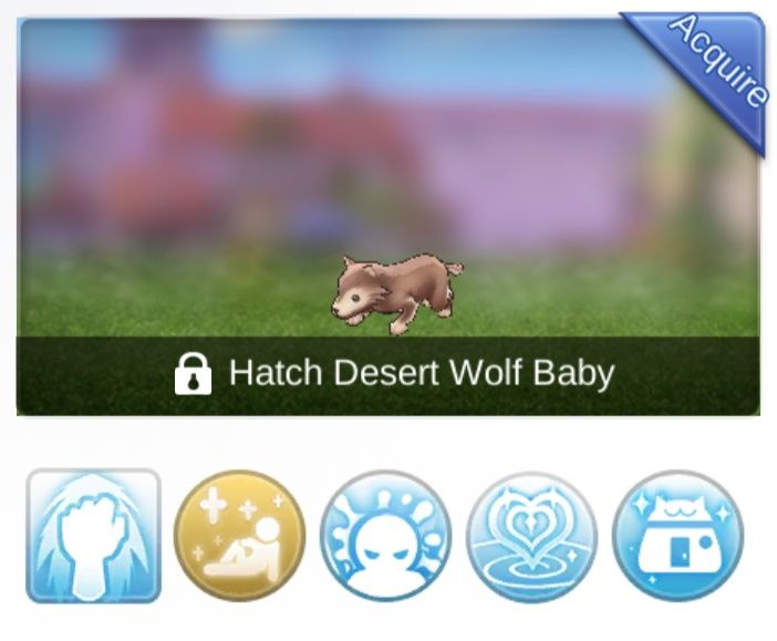 Baby Desert Wolf