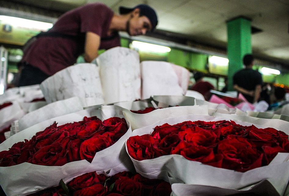 Pedagang merapikan bunga mawar yang dijual di Pasar Bunga Rawa Belong, Jakarta, Rabu (13/2/2019). Menjelang Hari Kasih Sayang (Valentine Day), harga bunga mawar naik hingga dua kali lipat dari harga biasanya Rp 30 ribu menjadi Rp 50 ribu - Rp 70 ribu per ikat.