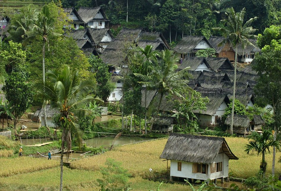 Foto dirilis Rabu (30/1/2019), menunjukkan suasana Kampung Naga, Kabupaten Tasikmalaya, Jawa Barat. Warga Kampung Naga merupakan salah satu masyarakat adat yang masih memegang tradisi nenek moyang mereka, salah satunya adalah tradisi panen padi.