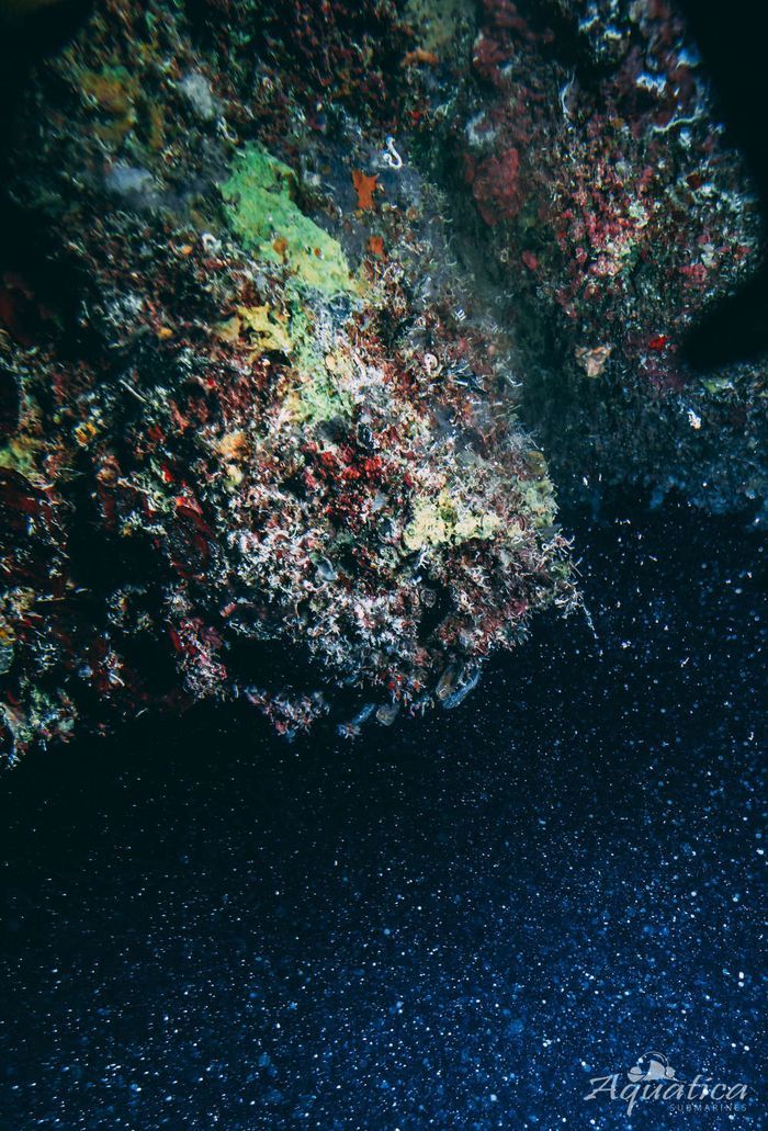 The Great Blue Hole, Lubang Besar di Belize