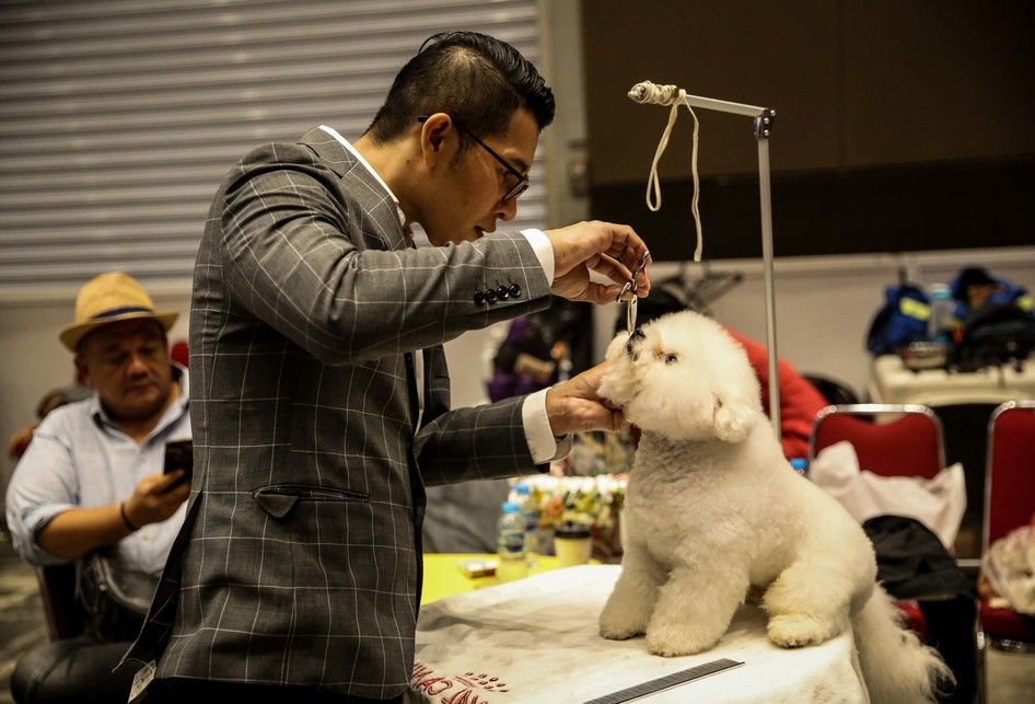 Suasana saat pameran Jakarta Indonesia Pet Show (JIPS) 2019 di JIExpo Kemayoran, Jakarta Utara, Sabtu (23/2/2019). Pameran hewan peliharaan dan hewan hobi terbesar di Asia Tenggara tersebut diikuti oleh 150 peserta pameran dari dalam maupun luar negeri dan akan berlangsung hingga 24 Februari 2019.