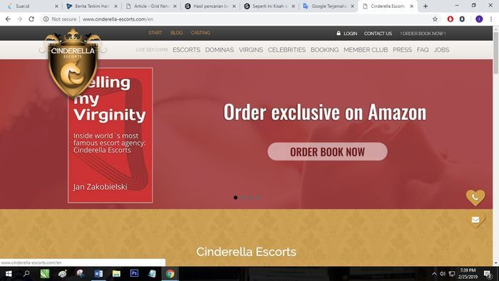 Situs web Cinderella Escort.